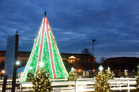 <b>美聯邦政府停擺 特朗普嘆「孤單」</b>