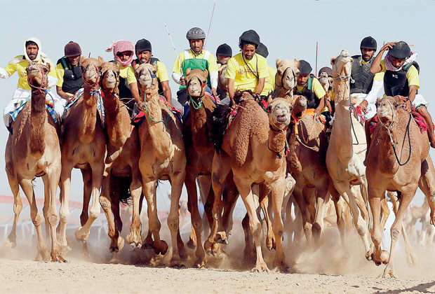 ���������鷴����2020�﷨�����սڽ������ٰ�