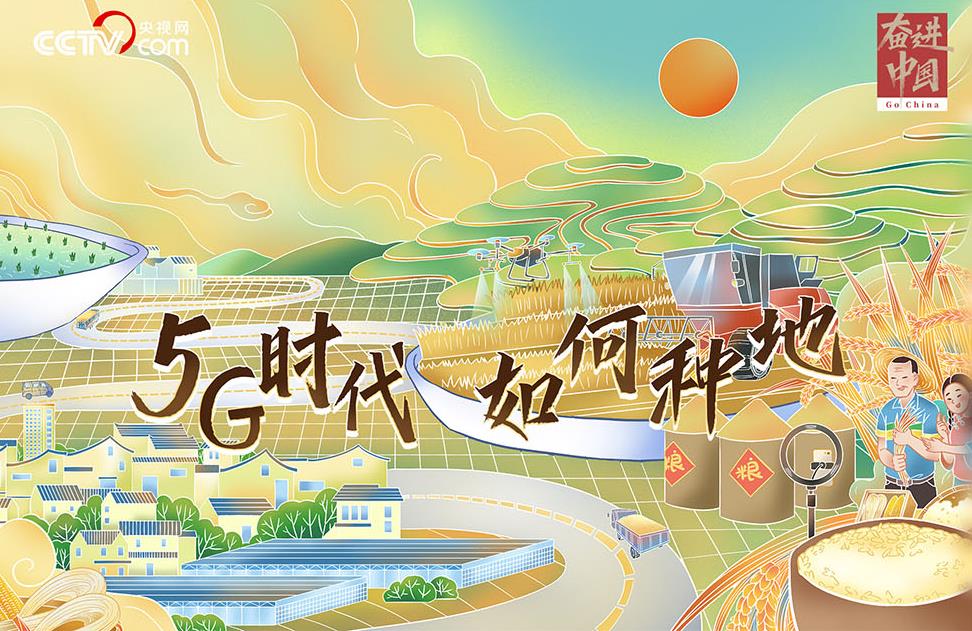 奋进中国|一粒米有“硬科技”