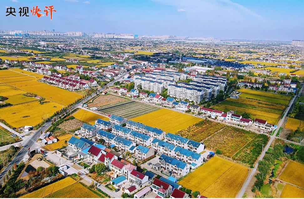 全面推进乡村振兴 为实现农业农村现代