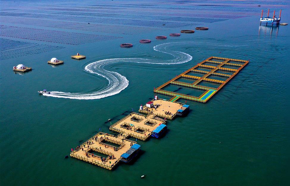 多项海洋经济指标发展向好 海运进出口