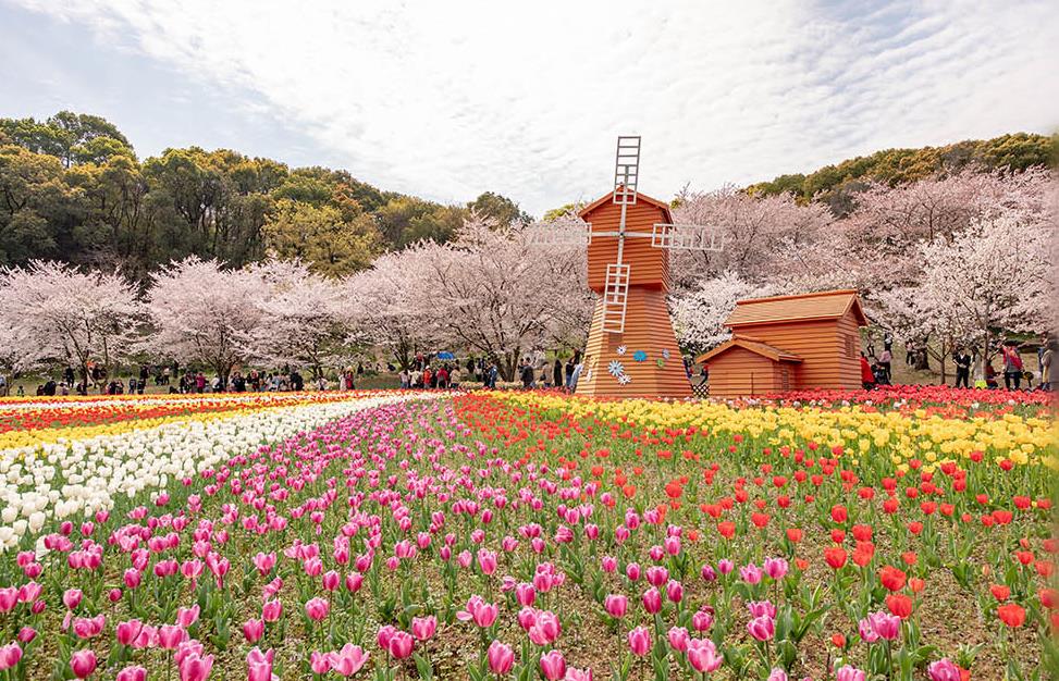 新征程 再出发|跟着总书记学习二十大
