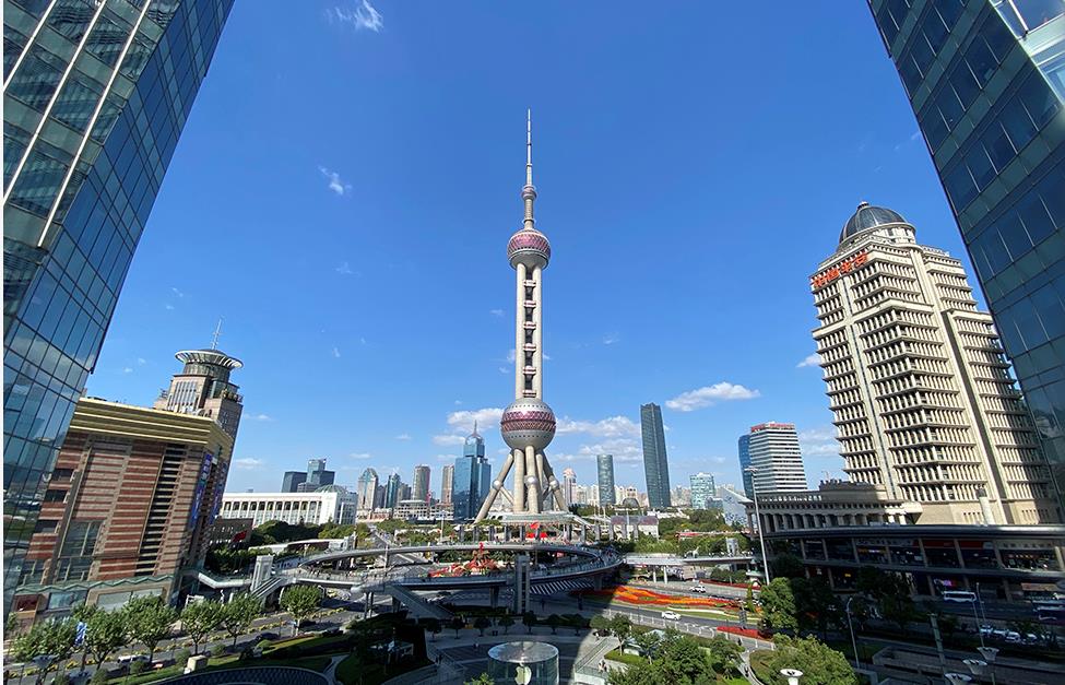 跟着总书记学习二十大报告丨咬定青山不