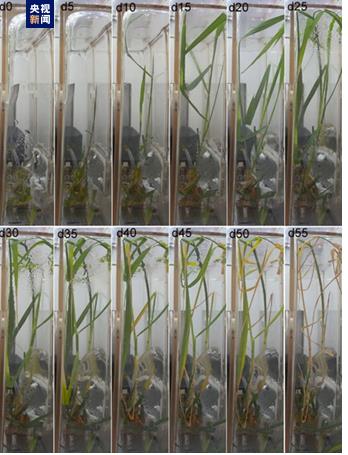 �ҹ��ڹ������״����ˮ�������ӵ�����