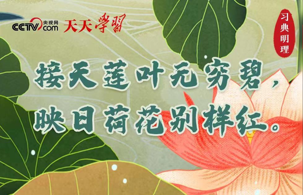 接天莲叶无穷碧 映日荷花别样红