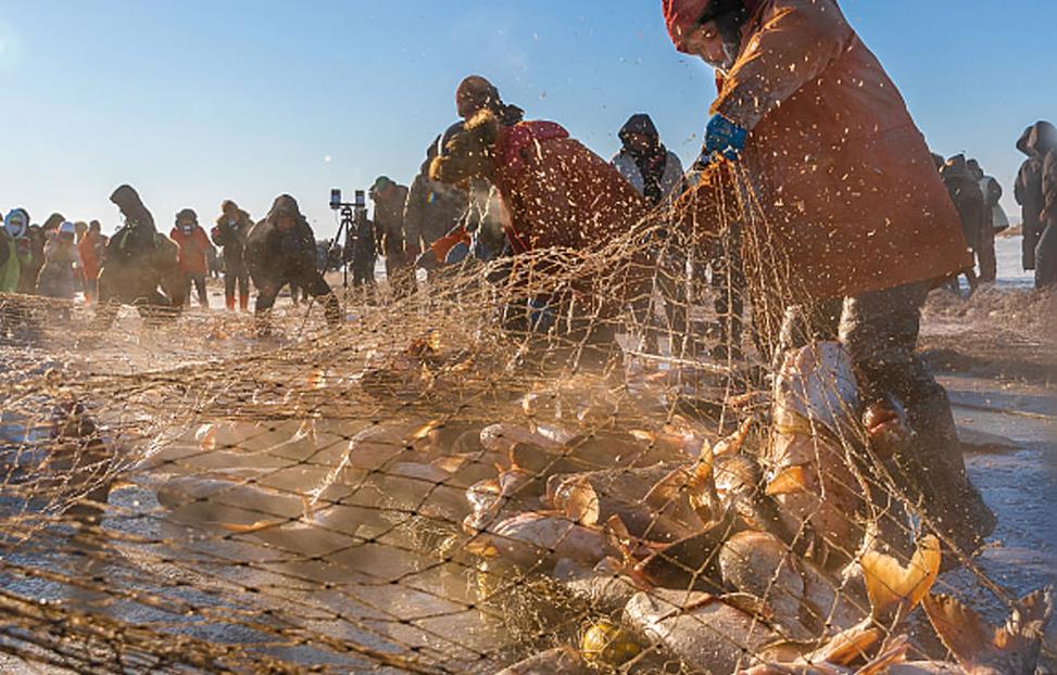生态逐年向好 年年有“鱼”年年渔