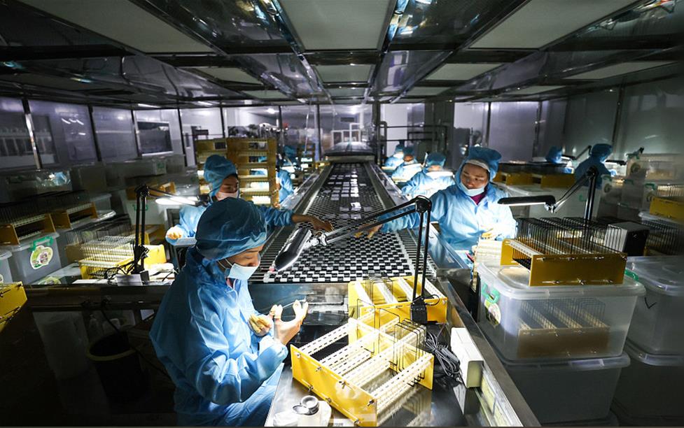 各地中小企业正在加快生产投资步伐 企