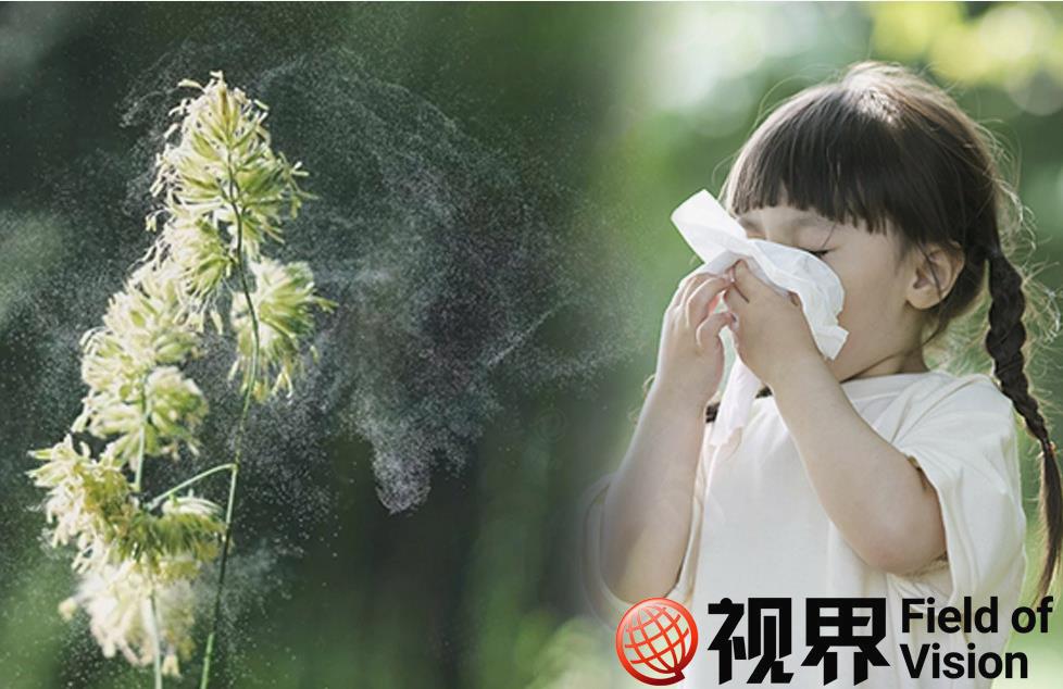 �ֵ�һ���������������Ԫ�ס���Ȼ����