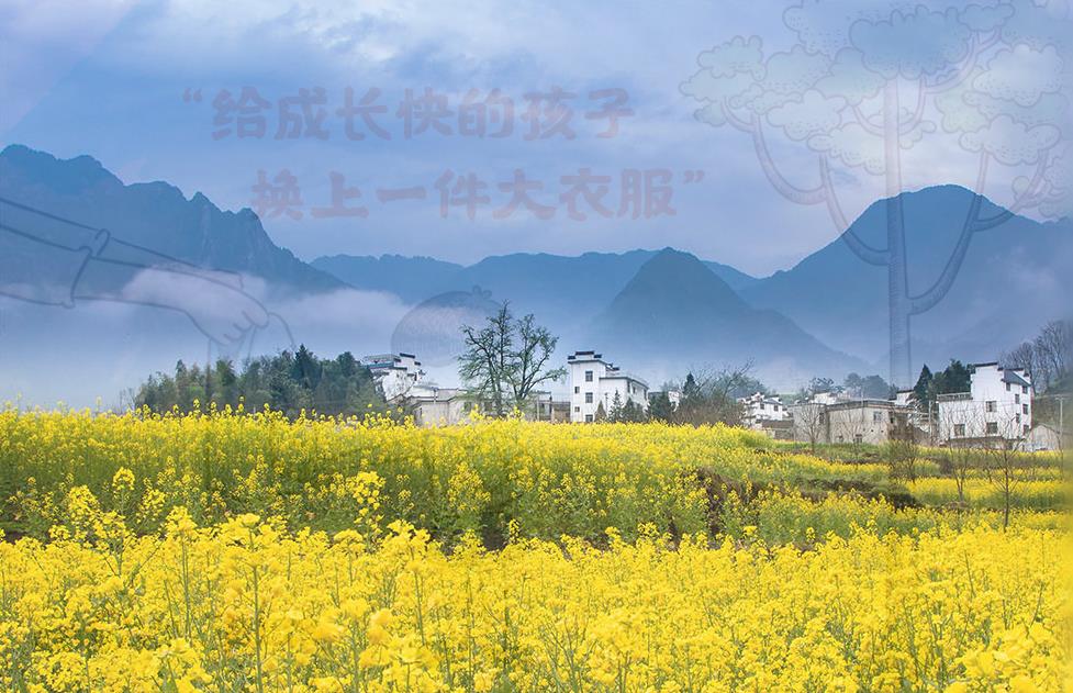 天下一家|坚持人与自然和谐共生