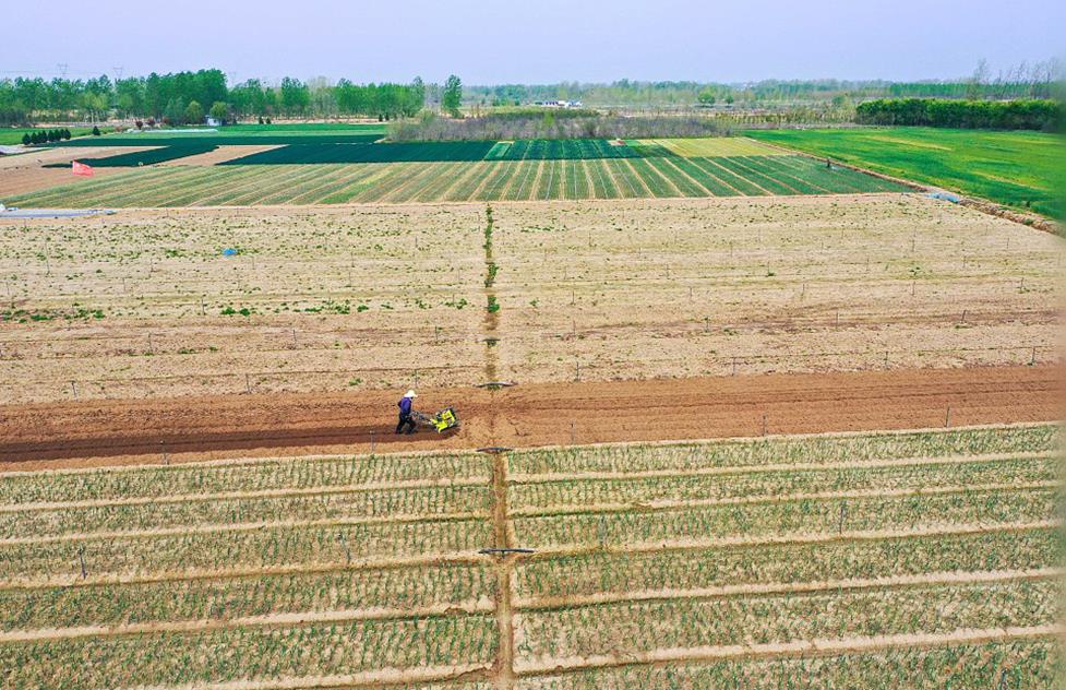 全国耕地净增加约130万亩 耕地总量连续