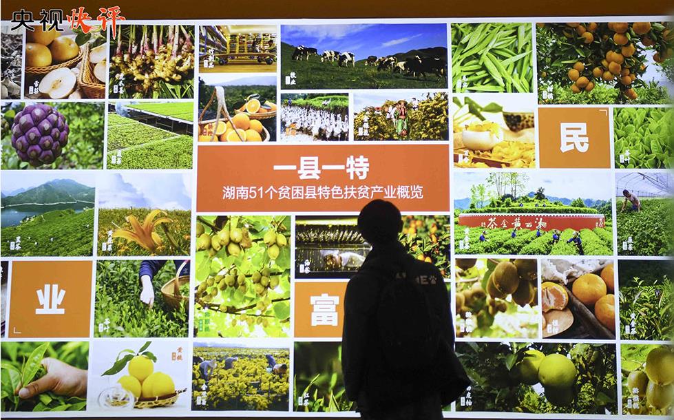 �԰�ȫ�ػ���Ȩ �Է�չ�ٽ���Ȩ �Ժ���