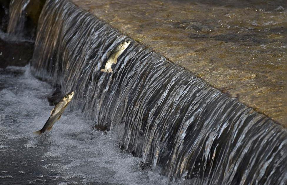 �ຣ��ˮ������ﵽ��ʮ�������ֵ ��