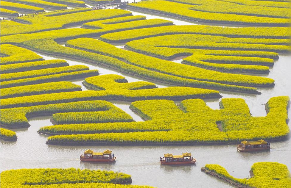 推进美丽中国建设 谱写绿色发展新篇章