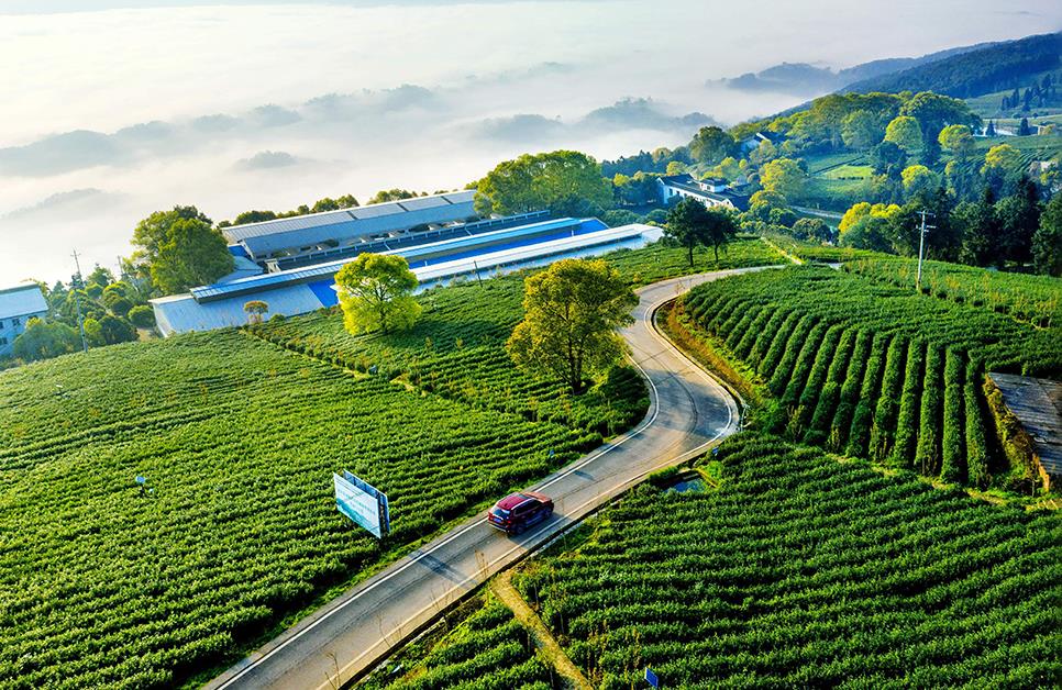 <b>薪金+租金+分红+现金”富了老乡“钱袋</b>