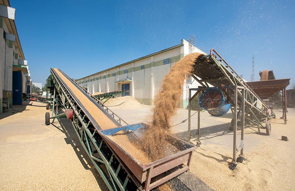 <b>我国夏粮旺季收购进度已超八成</b>