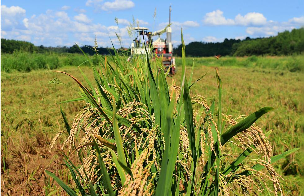 ˮ��ӭ���� ����ٴ�����ƽ���ʳ�չ�