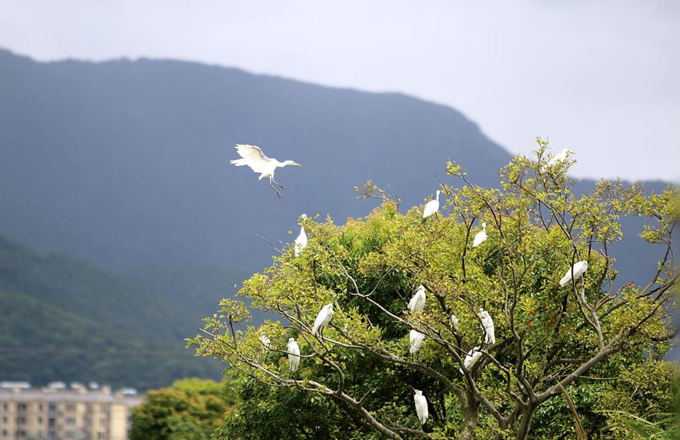 ������Ȼ��г�������й����