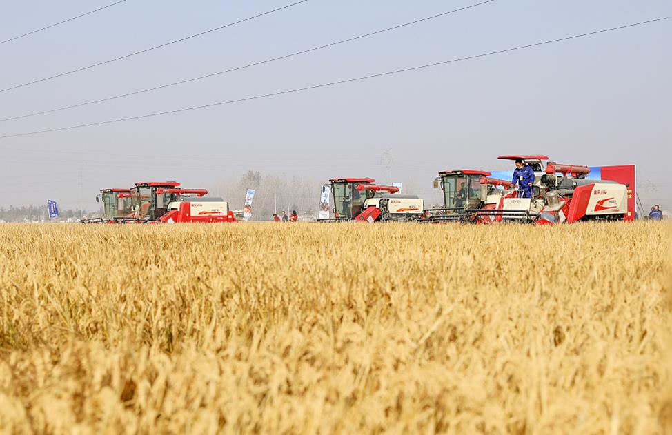 <b>各地聚焦粮食购销领域关键环节 加大力</b>