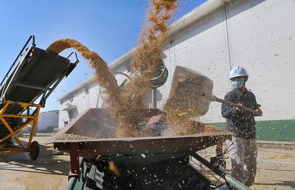 <b>�ҹ������չ���4000��� �г�������Ծ</b>